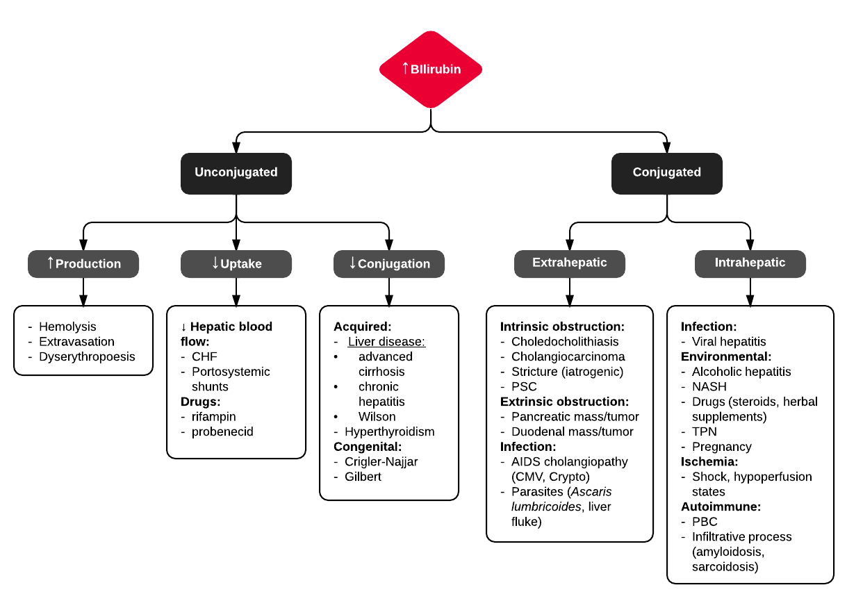 Algorithm and Differential Diagnosis of Hyperbilirubinemia 
Direct = Conjugated
Indirect = Unconjugated

#Diagnosis #Jaundice #Hyperbilirubinemia #Differential #Algorithm #Direct